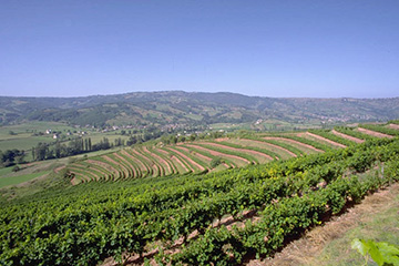 瓦利斯和富圖納群島瓦利斯島機(jī)場三字代碼(WLS),瓦利斯島機(jī)場(Wallis Hihifo airport)四字碼,瓦利斯和富圖納群島機(jī)場三字碼查詢